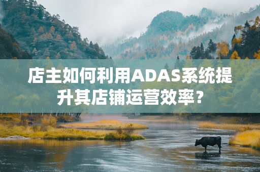 店主如何利用ADAS系统提升其店铺运营效率？