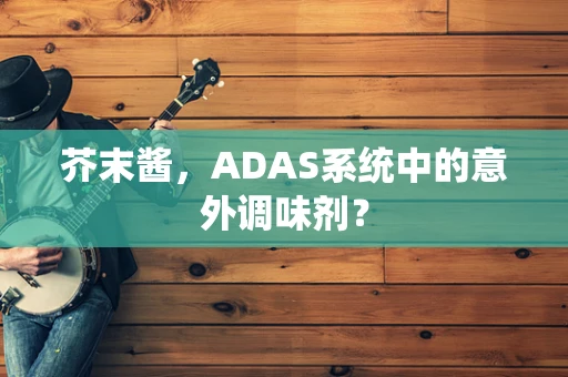 芥末酱，ADAS系统中的意外调味剂？