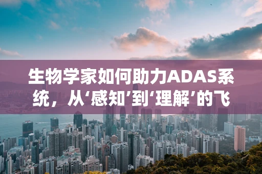 生物学家如何助力ADAS系统，从‘感知’到‘理解’的飞跃