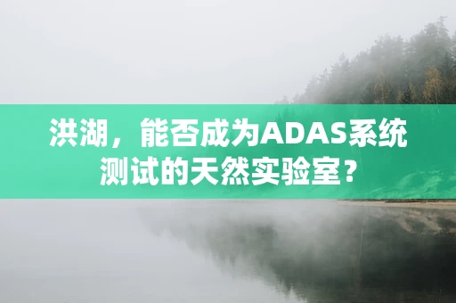 洪湖，能否成为ADAS系统测试的天然实验室？