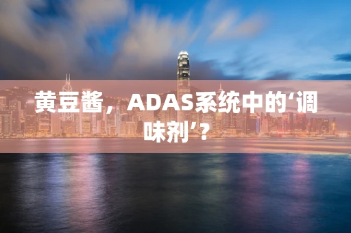 黄豆酱，ADAS系统中的‘调味剂’？