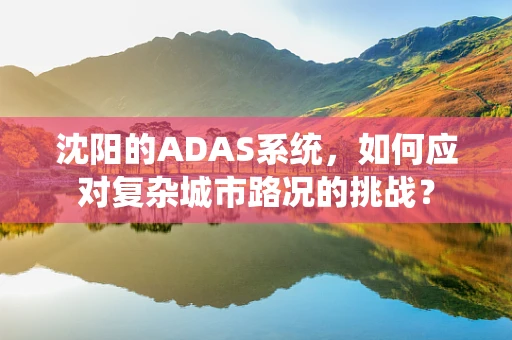 沈阳的ADAS系统，如何应对复杂城市路况的挑战？