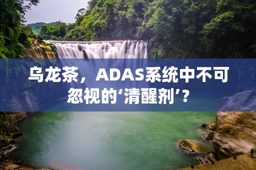 乌龙茶，ADAS系统中不可忽视的‘清醒剂’？