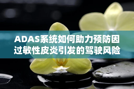 ADAS系统如何助力预防因过敏性皮炎引发的驾驶风险？