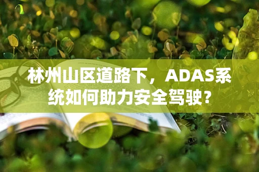 林州山区道路下，ADAS系统如何助力安全驾驶？