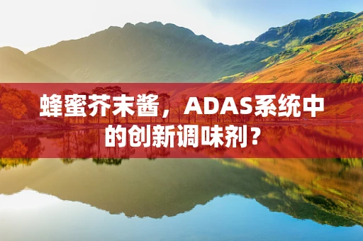 蜂蜜芥末酱，ADAS系统中的创新调味剂？