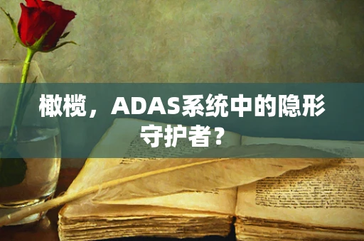 橄榄，ADAS系统中的隐形守护者？