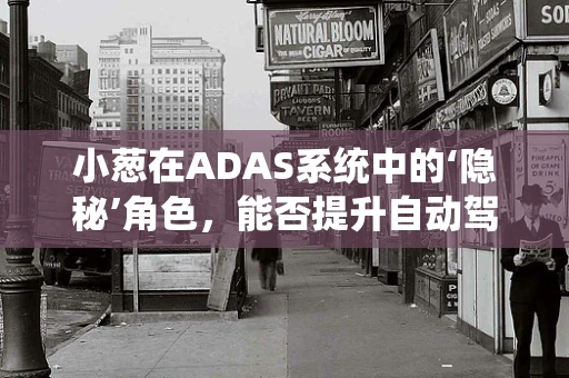 小葱在ADAS系统中的‘隐秘’角色，能否提升自动驾驶安全性能？