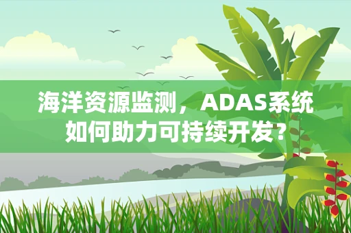 海洋资源监测，ADAS系统如何助力可持续开发？