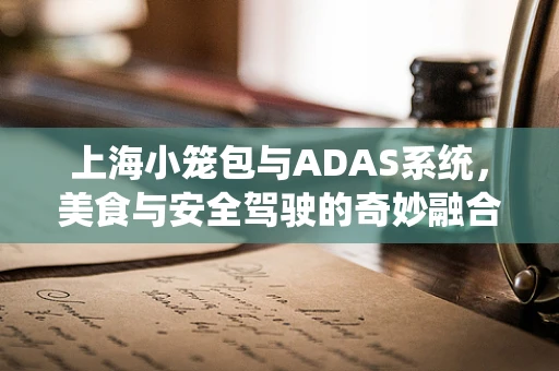 上海小笼包与ADAS系统，美食与安全驾驶的奇妙融合