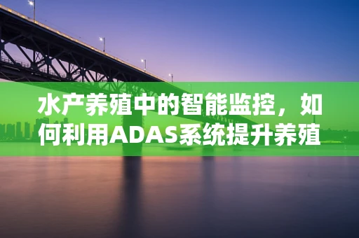 水产养殖中的智能监控，如何利用ADAS系统提升养殖效率？