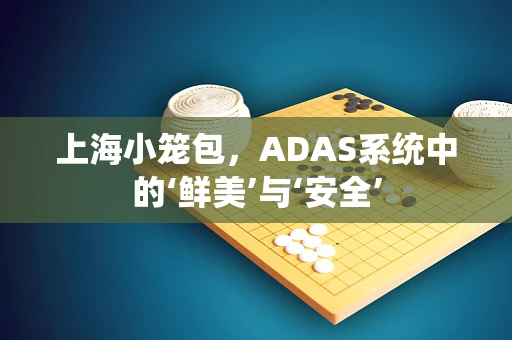 上海小笼包，ADAS系统中的‘鲜美’与‘安全’