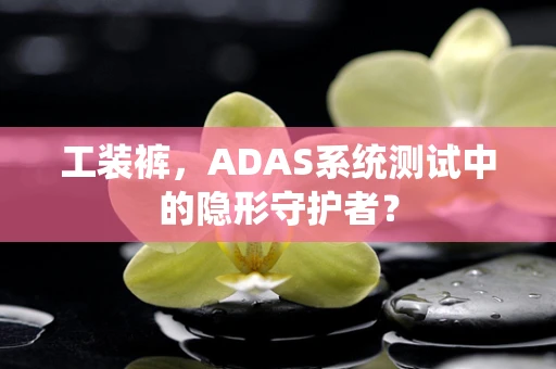 工装裤，ADAS系统测试中的隐形守护者？