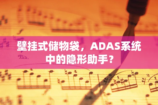壁挂式储物袋，ADAS系统中的隐形助手？