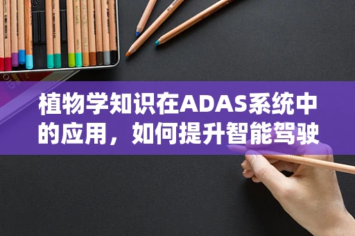 植物学知识在ADAS系统中的应用，如何提升智能驾驶的‘绿色’感知力？