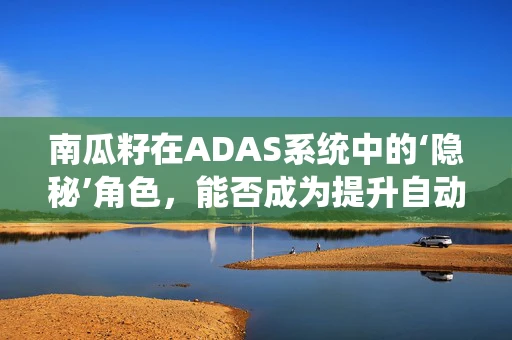 南瓜籽在ADAS系统中的‘隐秘’角色，能否成为提升自动驾驶安全性的关键？