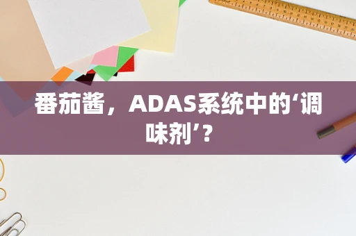番茄酱，ADAS系统中的‘调味剂’？