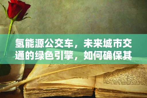 氢能源公交车，未来城市交通的绿色引擎，如何确保其安全高效运行？