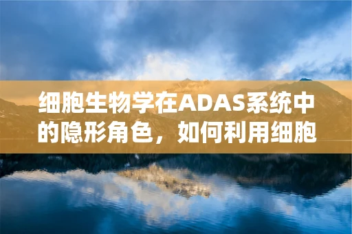 细胞生物学在ADAS系统中的隐形角色，如何利用细胞微环境优化算法性能？