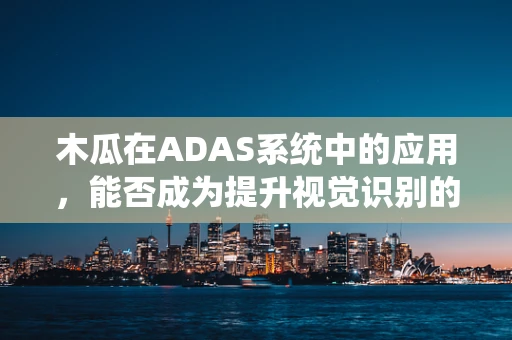木瓜在ADAS系统中的应用，能否成为提升视觉识别的‘黄金果’？