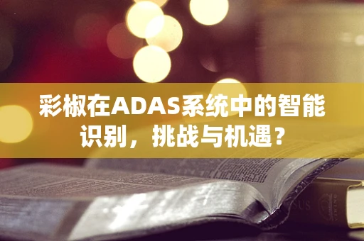 彩椒在ADAS系统中的智能识别，挑战与机遇？