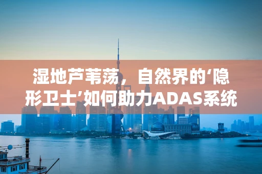 湿地芦苇荡，自然界的‘隐形卫士’如何助力ADAS系统？