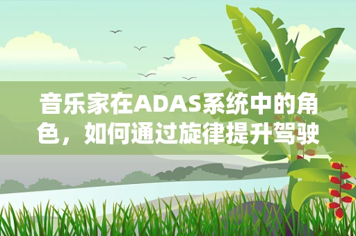 音乐家在ADAS系统中的角色，如何通过旋律提升驾驶体验？