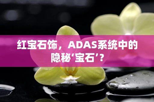 红宝石饰，ADAS系统中的隐秘‘宝石’？