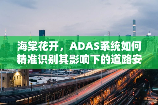 海棠花开，ADAS系统如何精准识别其影响下的道路安全？