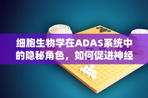 细胞生物学在ADAS系统中的隐秘角色，如何促进神经元再生与修复？