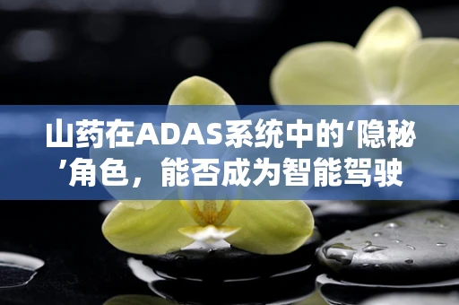 山药在ADAS系统中的‘隐秘’角色，能否成为智能驾驶的‘营养剂’？