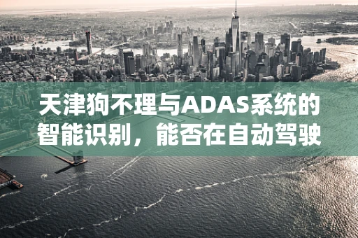 天津狗不理与ADAS系统的智能识别，能否在自动驾驶中实现‘味觉’感知？