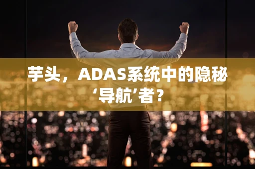 芋头，ADAS系统中的隐秘‘导航’者？