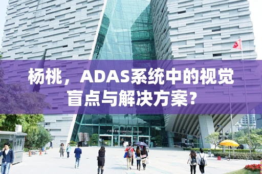杨桃，ADAS系统中的视觉盲点与解决方案？