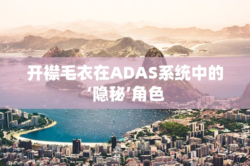 开襟毛衣在ADAS系统中的‘隐秘’角色
