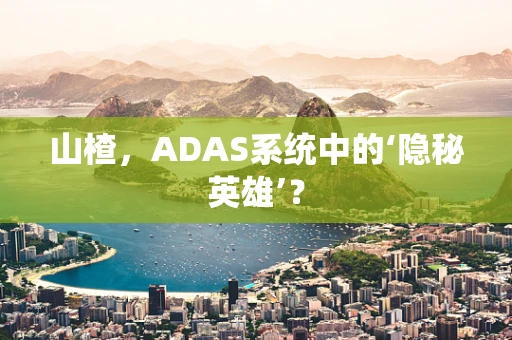 山楂，ADAS系统中的‘隐秘英雄’？