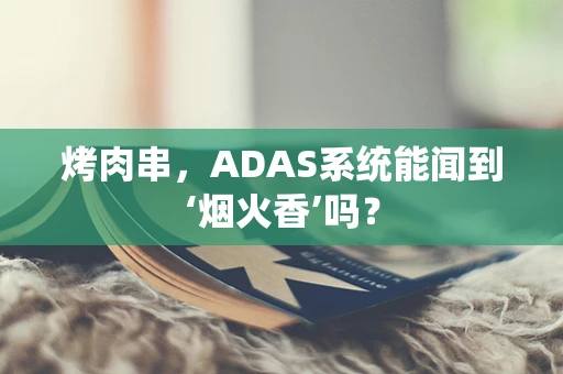 烤肉串，ADAS系统能闻到‘烟火香’吗？