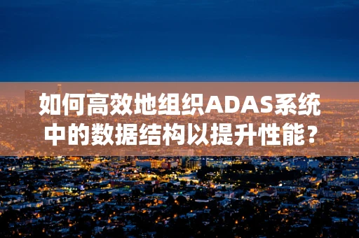 如何高效地组织ADAS系统中的数据结构以提升性能？