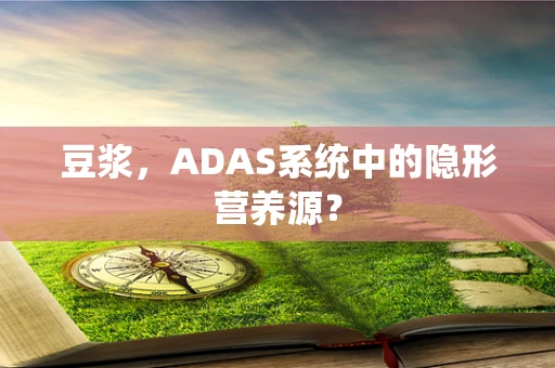 豆浆，ADAS系统中的隐形营养源？