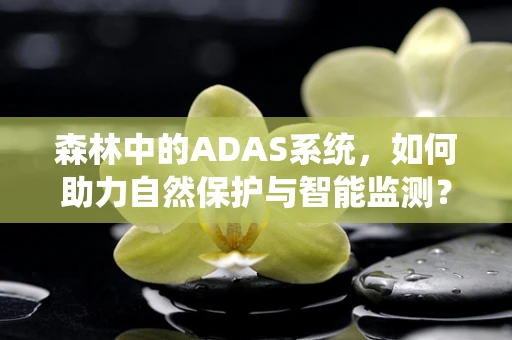 森林中的ADAS系统，如何助力自然保护与智能监测？