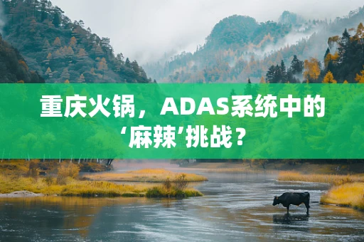 重庆火锅，ADAS系统中的‘麻辣’挑战？