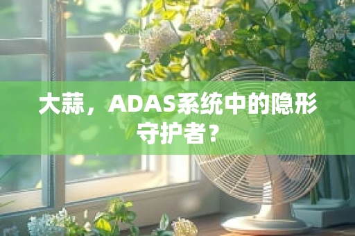 大蒜，ADAS系统中的隐形守护者？