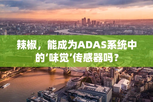 辣椒，能成为ADAS系统中的‘味觉’传感器吗？