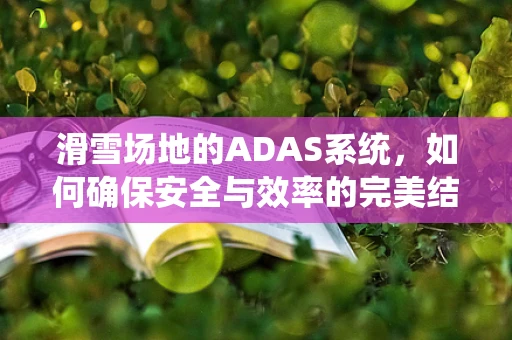 滑雪场地的ADAS系统，如何确保安全与效率的完美结合？