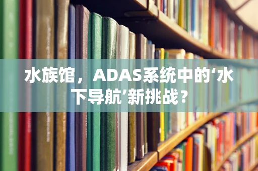 水族馆，ADAS系统中的‘水下导航’新挑战？