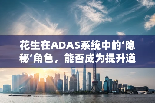 花生在ADAS系统中的‘隐秘’角色，能否成为提升道路安全的新利器？