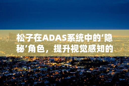 松子在ADAS系统中的‘隐秘’角色，提升视觉感知的微妙助力？