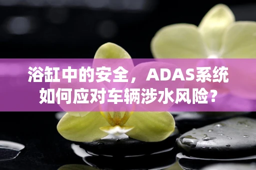 浴缸中的安全，ADAS系统如何应对车辆涉水风险？