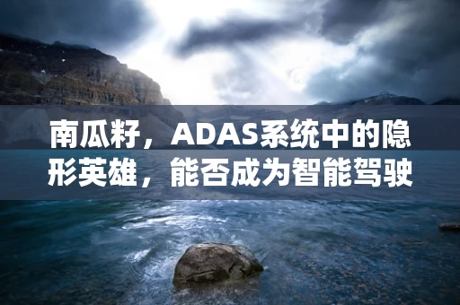 南瓜籽，ADAS系统中的隐形英雄，能否成为智能驾驶的意外助力？