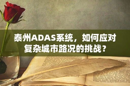 泰州ADAS系统，如何应对复杂城市路况的挑战？